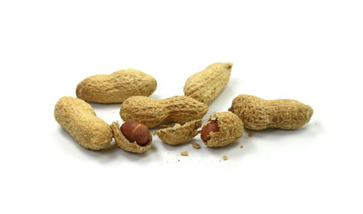 Peanuts isolated on the white background. Peanuts pod or arachis isolated on white background