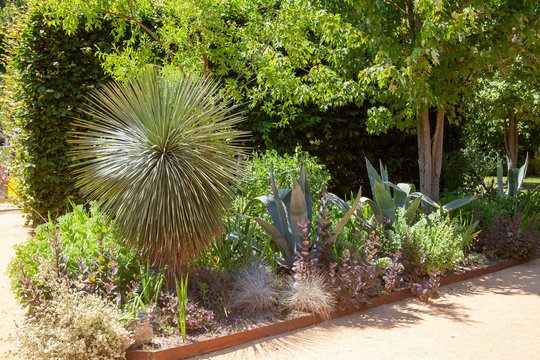 Jardin m&eacute;diterran&eacute;en - agave et yucca