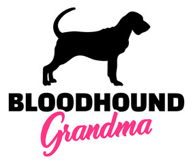 Bloodhound Grandma with silhouette