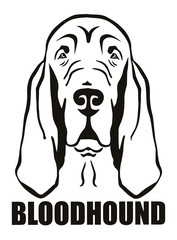 Bloodhound head black and white name - obrazy, fototapety, plakaty