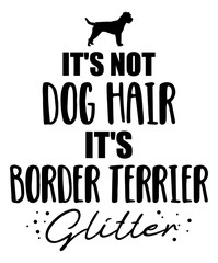 It's not dog hair, it's Border Terrier glitter