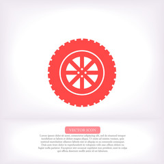 Settings vector icon , lorem ipsum Flat design