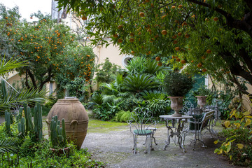 Giardino