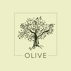 Obraz premium Logo olive tree