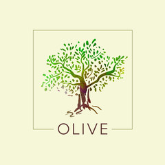 Obraz premium Logo with olive tree