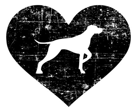 German Shorthaired Pointer in heart black and white