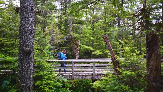 young woman hiking in the Alaskan forest 