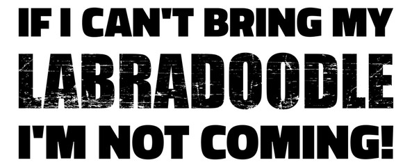 If I can't bring my Labradoodle