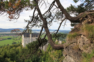 castle through trees