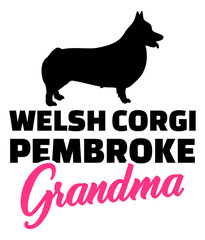 Welsh Corgi Pembroke Grandma with silhouette