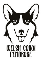 Welsh Corgi Pembroke head black and white