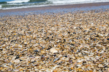 Ocean water covering sea shells