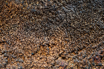 Stone texture and background. Rock mineral exclusive unique texture