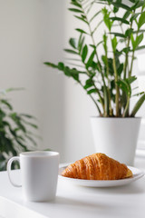 Good morning in the kitchen. Fresh croissant on a saucer, aromatic tea in a large cup, plantings in pots on a white kitchen background. 