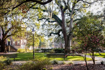 Savannah Georgia