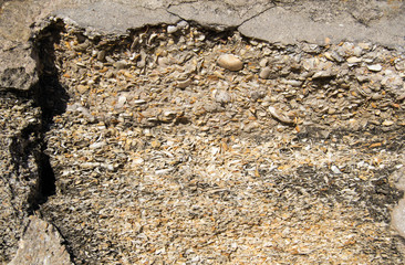 Sea shell cement wall mixture