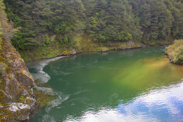 river in the forest