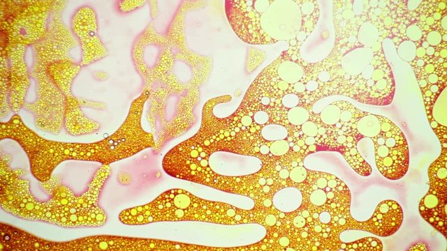 Abstract beautiful dinamic golden pattern appears on the surface of oil