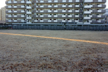 太陽光線に照らされた、冬の早朝の霜に覆われた草地