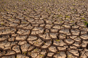 Dry soil results from lack of water.Global warming