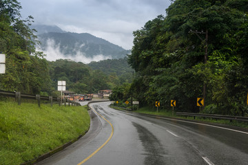 Road wet by rain among lush vegetation. Colombia