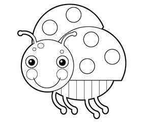 Cartoon animal insect ladybug on white background - coloring page - illustration