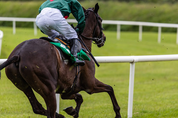 Close up view from behind of galloping race horse and jockey sprinting down the race track