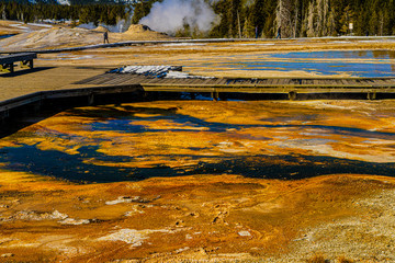 UPPER GEYSER BASIN COLOR, YELLOWSTONE