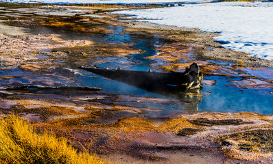 UPPER GEYSER BASIN COLOR, YELLOWSTONE