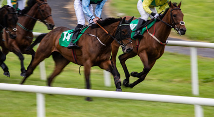 Galloping race horses competing at speed, motion blur zoom effect