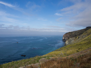 Obraz premium Ocean view