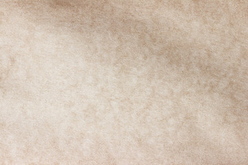 Old Paper texture. vintage paper background or texture; brown paper texture