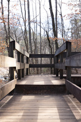 Fototapeta na wymiar old wooden bridge in park