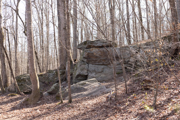 big rocks in the park
