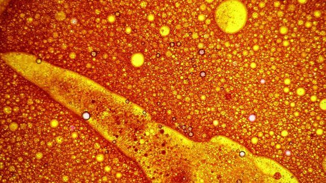 Abstract dinamic golden pattern with bubbles