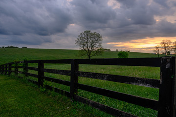 Fototapeta na wymiar Early Morning Horse Fence