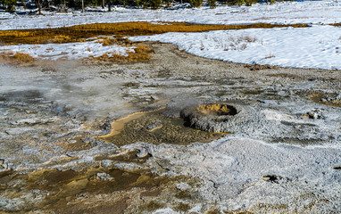ATRIUM GEYSER, YELLOWSTONE