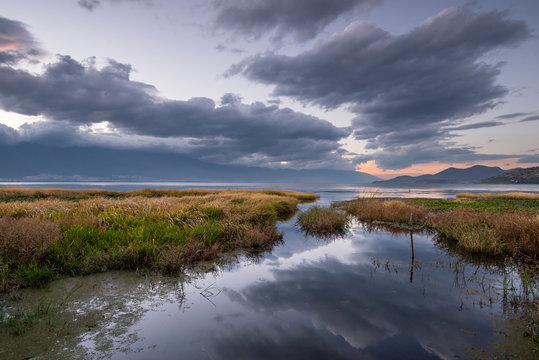 Wetlands