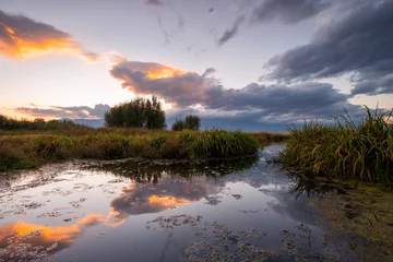 Foto op Plexiglas Wetlands © Tao Wu