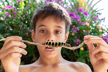 Impressed boy looking at a large caterpillar, focus on the insect, blurred background