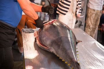 マグロの解体ショー