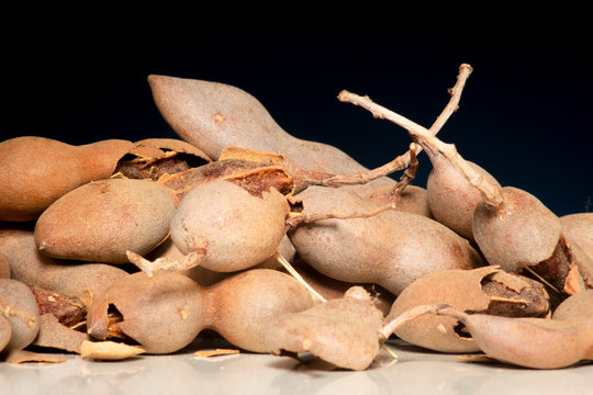 Tamarind tropical fruit - Tamarindus indica 