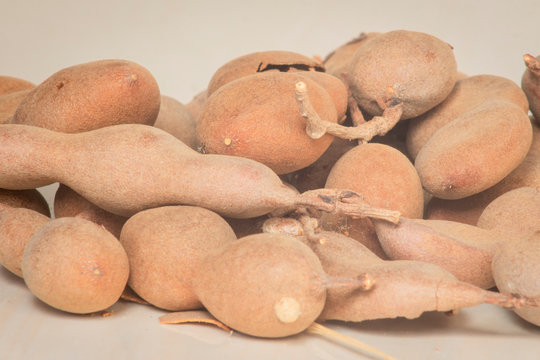 Tamarind tropical fruit - Tamarindus indica 