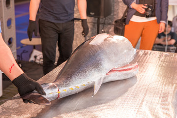 マグロの解体ショー