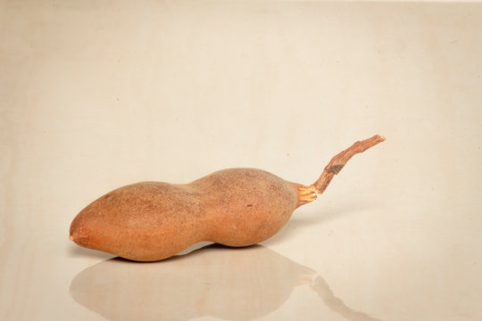 Tamarind tropical fruit - Tamarindus indica 