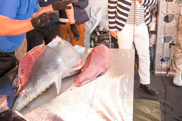 マグロの解体ショー