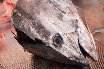 マグロの解体ショー