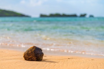 海