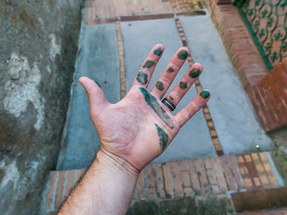 Grabbing a wet paint bar and got all over my hand. 