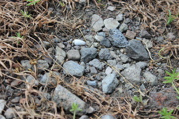 Cracked Stone and Dried Leaf